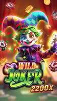 Wild Joker